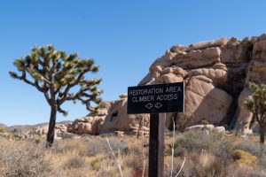 URGENT: JTNP needs feedback on Climbing Management Plan