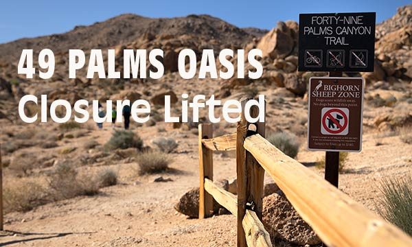 49 Palms Oasis Trail