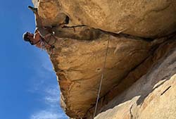 FOJT Board Member Andre Ribeiro