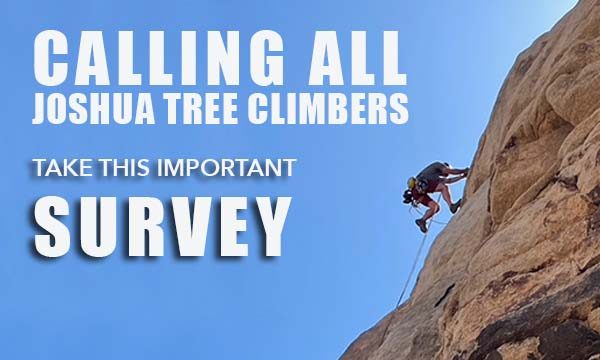 Joshua Tree Climber Survey