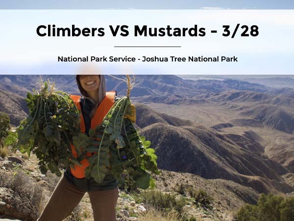 CLIMBERS vs MUSTARDS